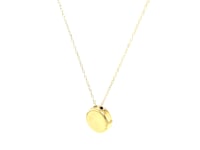14k Yellow Gold Necklace with Dog Paw Print Symbol in Mother of Pearl