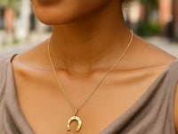 Horseshoe Necklace in 14K Yellow Gold